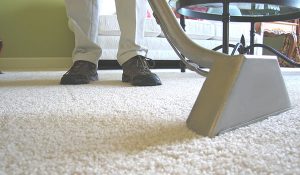 Carpet Cleaning Services